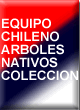 EQUIPO CHILENO DE ARBOLES